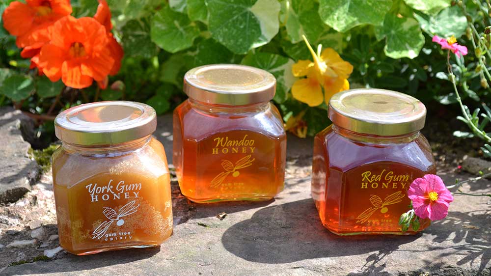 Trio of Australian Honey Gift Set