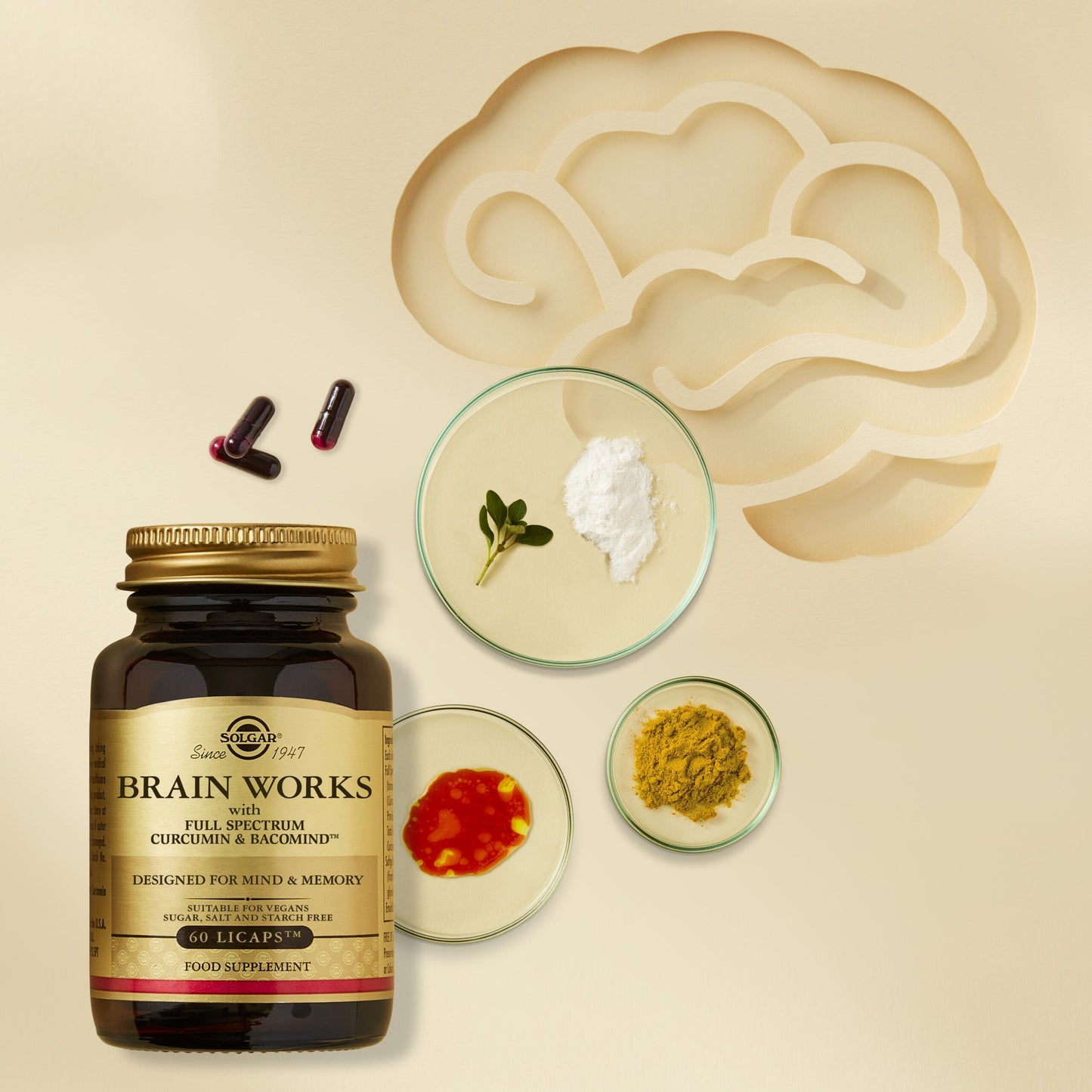 Solgar®Brain Works with Full Spectrum Curcumin and BacoMind 60 Licaps